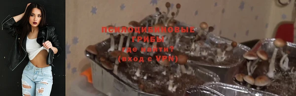 марки nbome Белокуриха