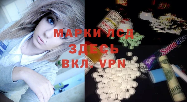 гашик Тында