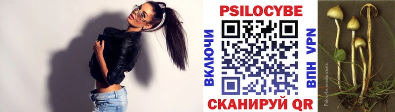 Псилоцибиновые грибы Psilocybe  Михайловка 